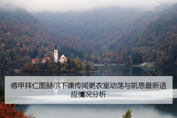 德甲拜仁图赫尔下课传闻更衣室动荡与凯恩最新适应情况分析